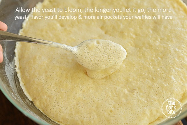 Let the batter sit at room temperature to allow the yeast to bloom. You can bloom the yeast for ten minutes or up to 2 hours.