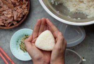 fillings for onigiri