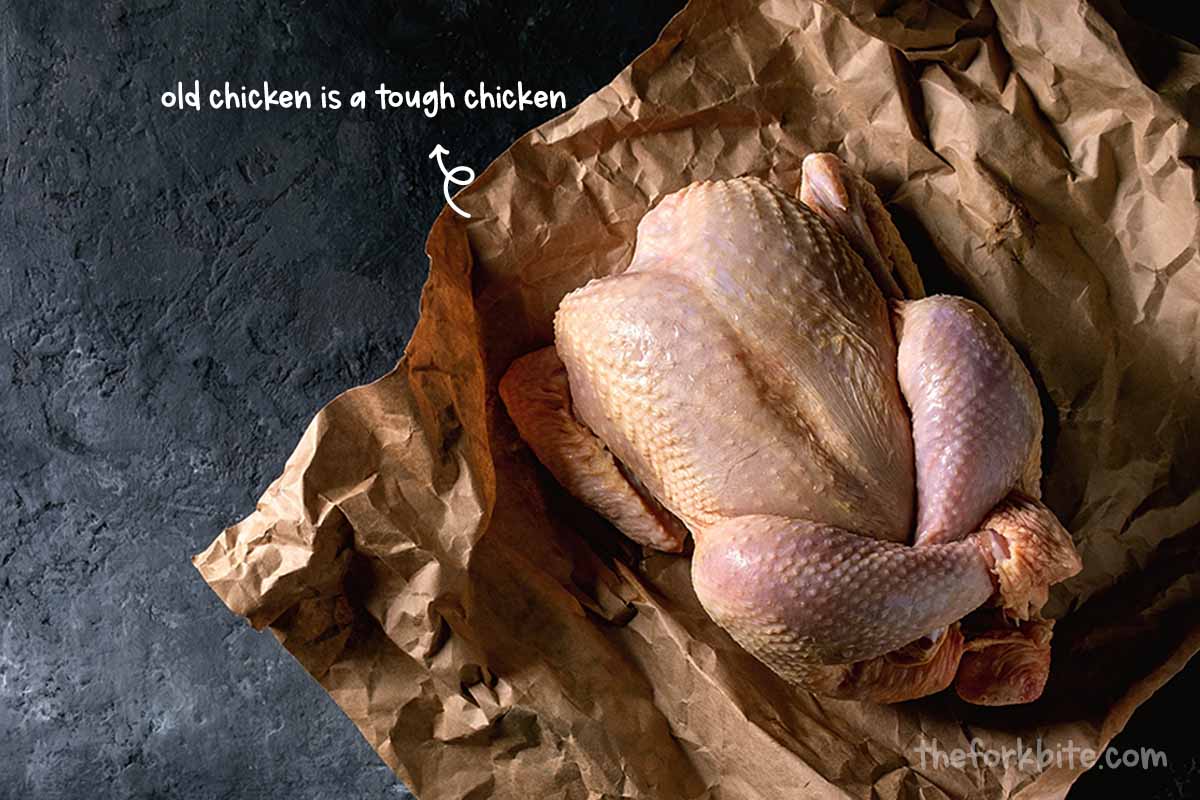The older a chicken gets, the tougher it becomes. Here in the US, chickens sold for human consumption are processed only a few weeks old, to make sure that the flesh is nice and tender.