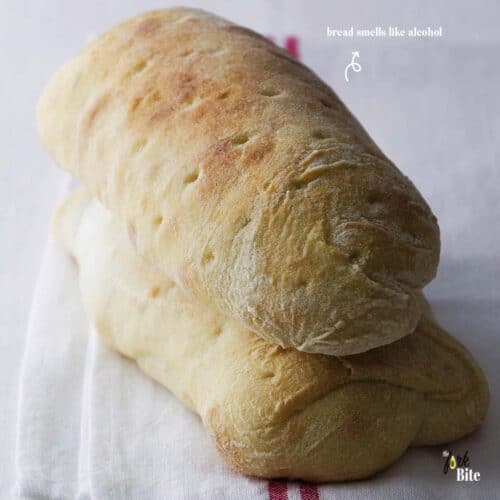 Fast and Easy Recipes The Fork Bite