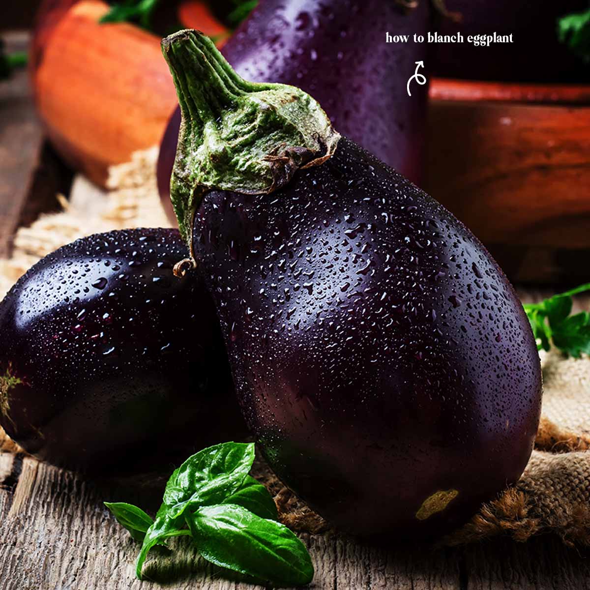 Here's the proper way on how to blanch eggplant to prevent bacteria to destroy the nutrients and change the color, flavor, and texture of food during frozen storage.