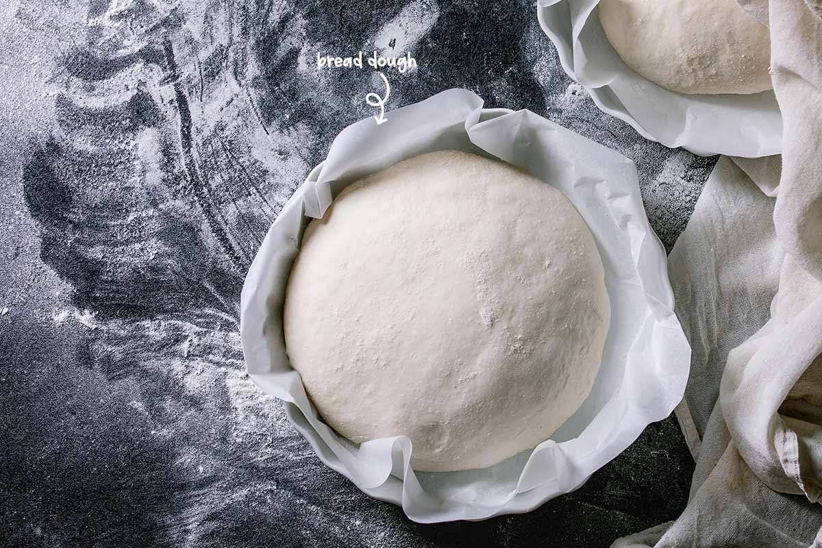 The important thing when defrosting bread dough is to be gentle with it. Warm it gently and evenly. This will bring the yeast back to life without damaging it.