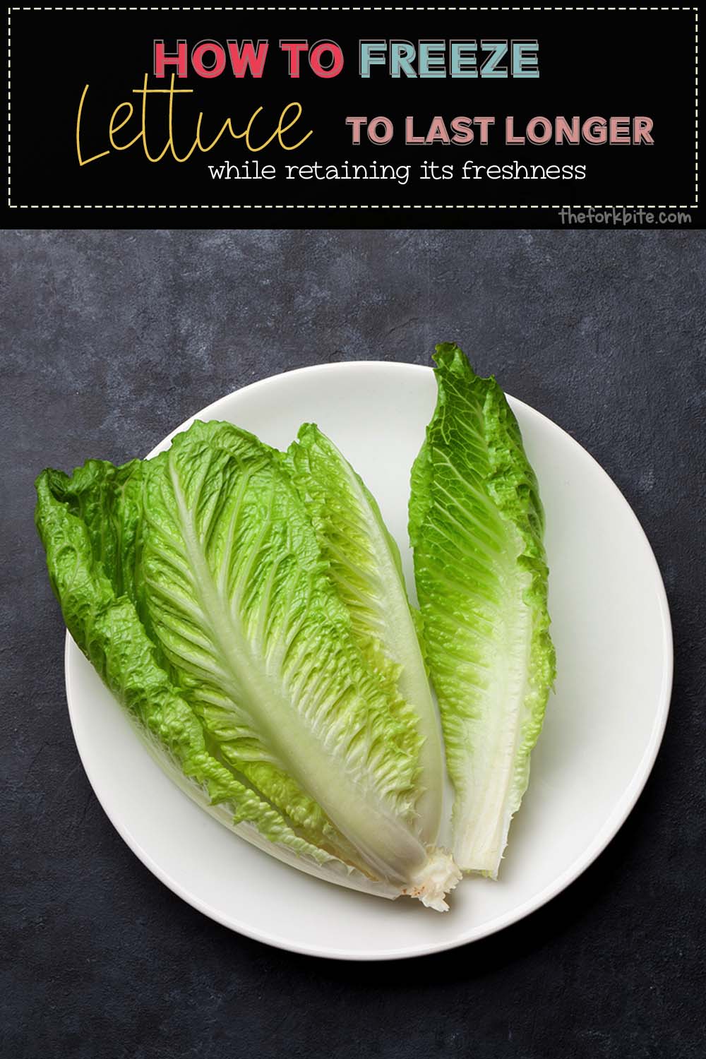 Wave goodbye to soggy lettuce. Learn the tips and tricks, you will never have to make do with eating lettuce that isn’t crisp and crunchy ever again
