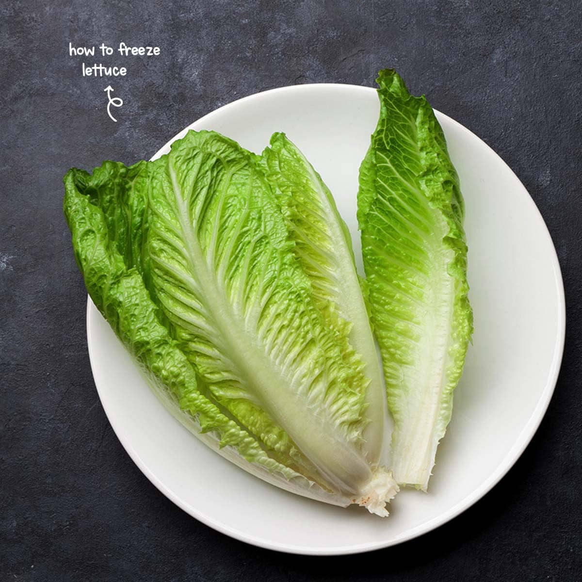 To stay nice and crisp, lettuce requires air, and moisture, but in moderation. Too much of either will result in it wilting.