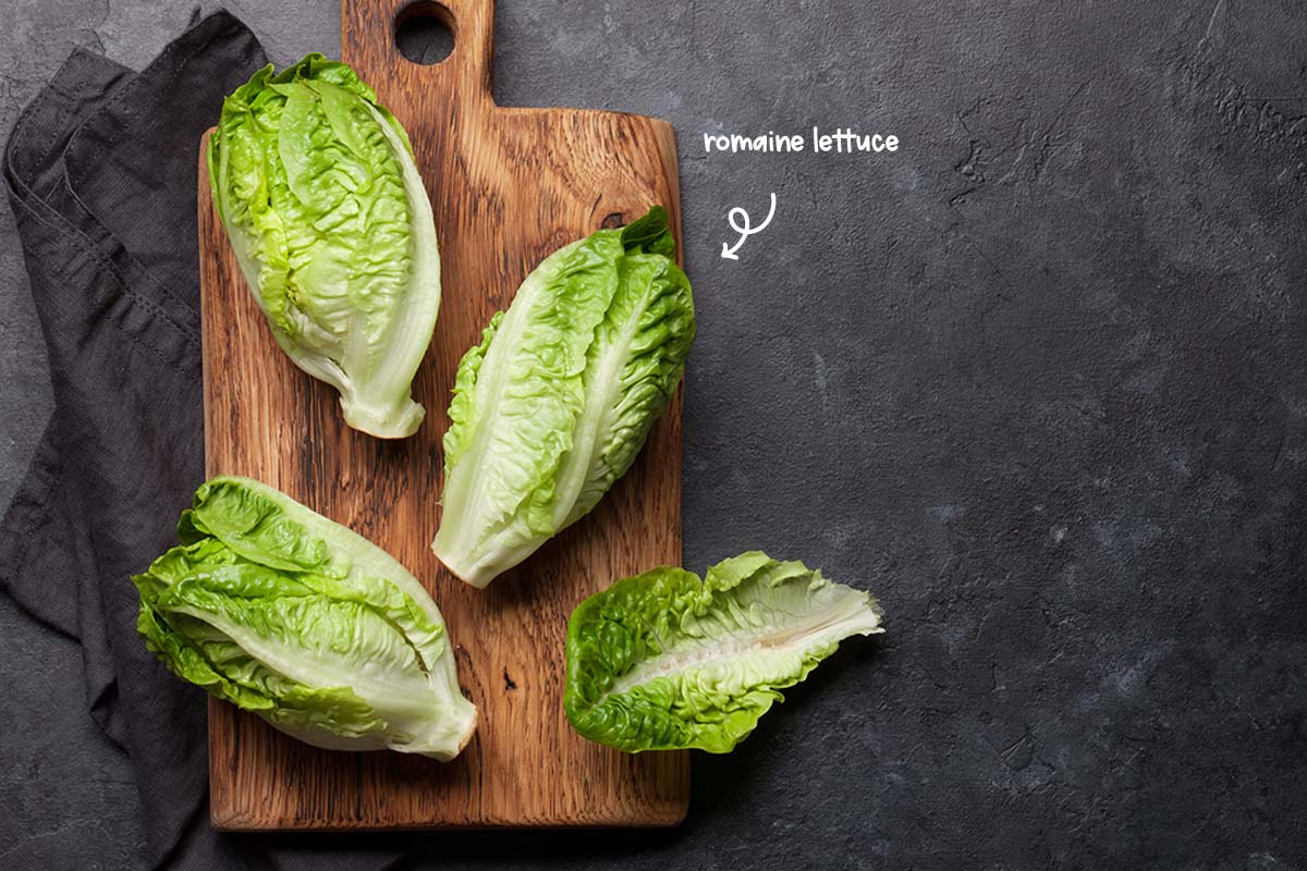 Often referred to as Cos lettuce, romaine is the type of lettuce you will find in a classic Caesar salad.