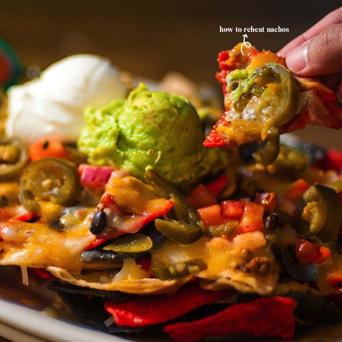 Learn several different ways on how to reheat nachos or this crispy tortilla dish, and any of them will be just what you need.