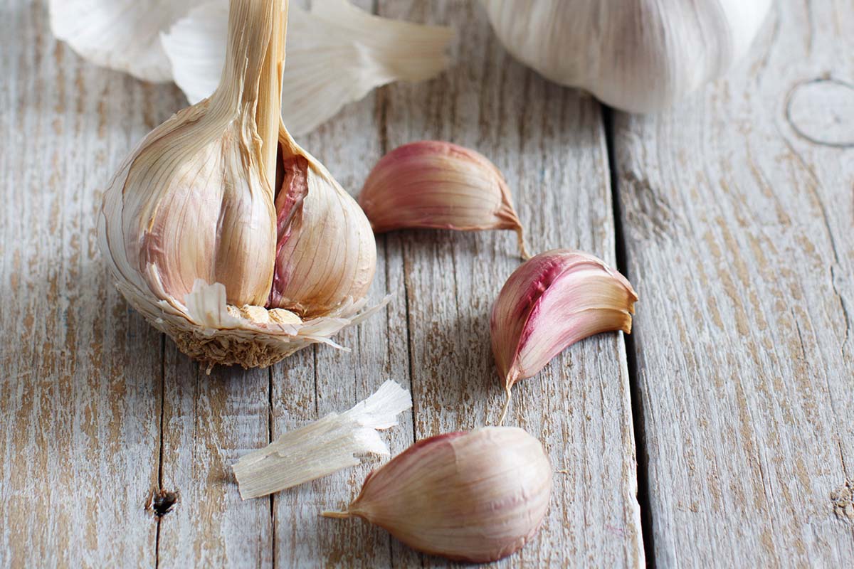 Like garlic, onion is another strong flavor but used in the right proportions. It can counteract too much garlic. The great thing about the taste of onion is that it complements garlic exceptionally well.