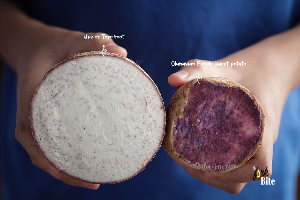 Many people mistakenly believe that since the taro is purple, it is created with the ube plant, which is also purple, but this is not the case. While both are root-based plants and are similar in shape, ube and taro are entirely different.