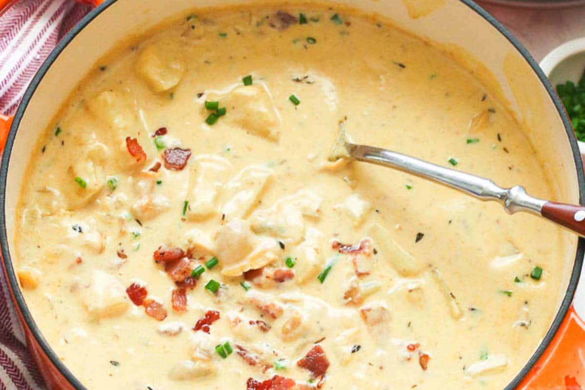 The ingredients used in making New England clam chowder include chopped clams, onions, potatoes, salty bacon, and cream or milk. You concoct a heavy base with cream and butter when making it, making the chowder deliciously thick.