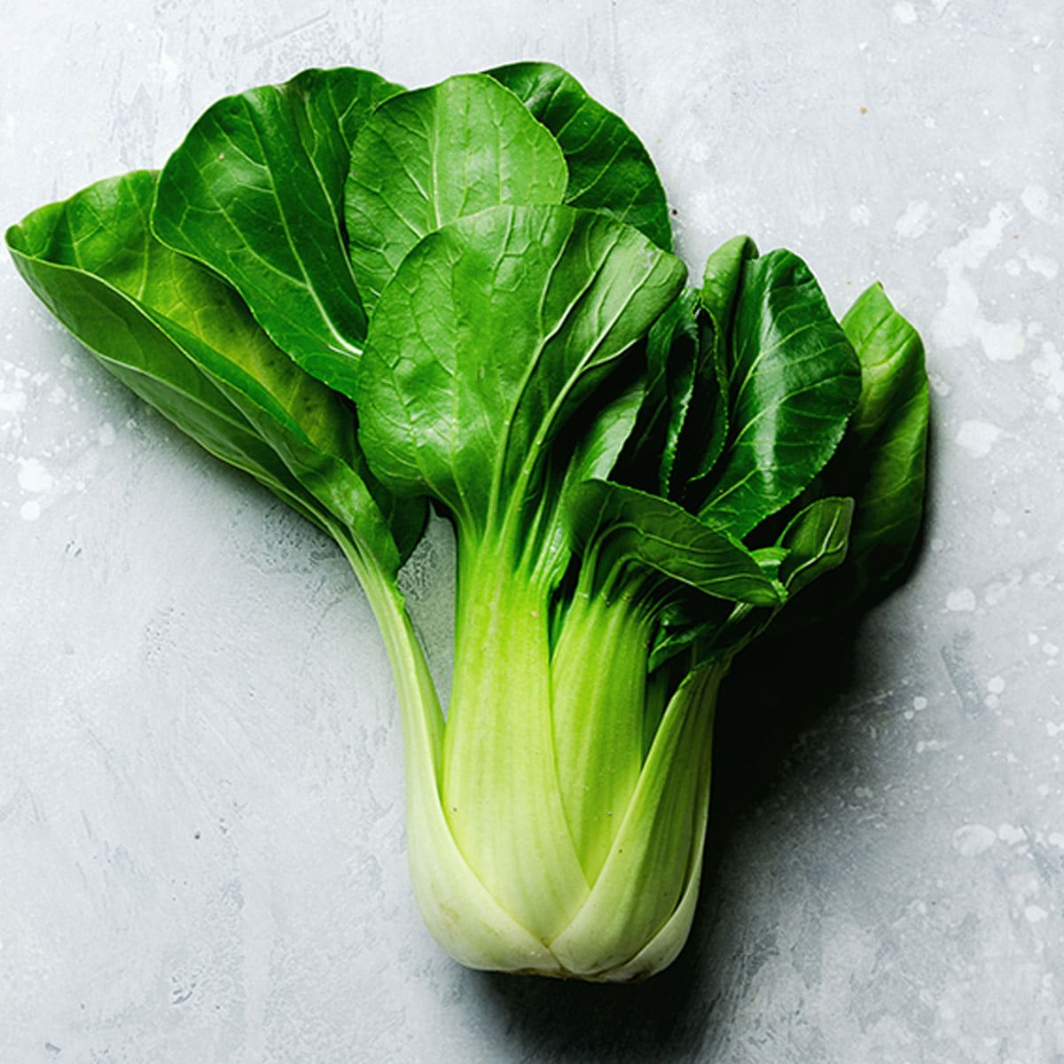 The idea behind blanching is not to cook the vegetable but only to part cook it so that it retains its texture and color. The importance of immersing the Bok Choy in ice-cold water cannot be overstated as it is this that prevents it from cooking.