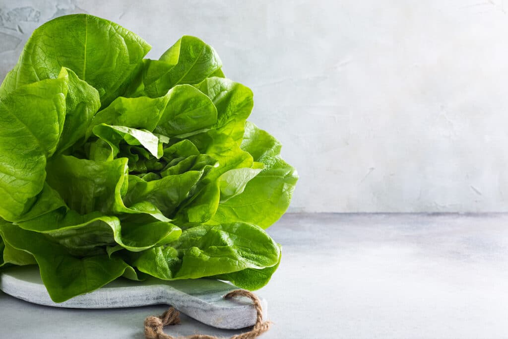 Butterhead lettuce have a slightly sweet, succulent taste and texture. The two best-known types of butterhead are Boston and Bibb.