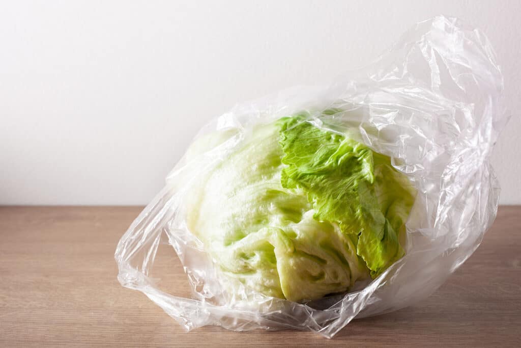 Crisphead lettuces are famous for their lovely crisp texture. The leaves are pale green and form a tightly packed head that can be easily mistaken for cabbage at first glance.