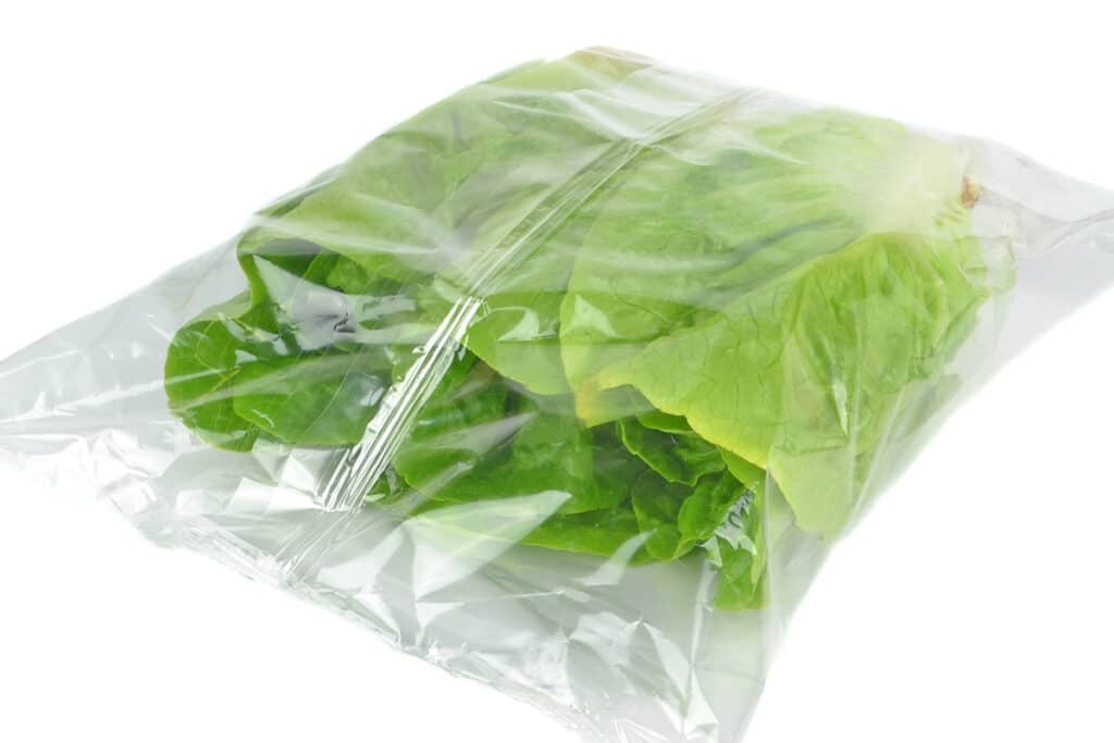 Wrap the lettuce in a few sheets of paper kitchen towel, transfer the wrapped veggie into a plastic bag, and place it into your fridge in the crisper drawer, where you can keep it for up to one week.