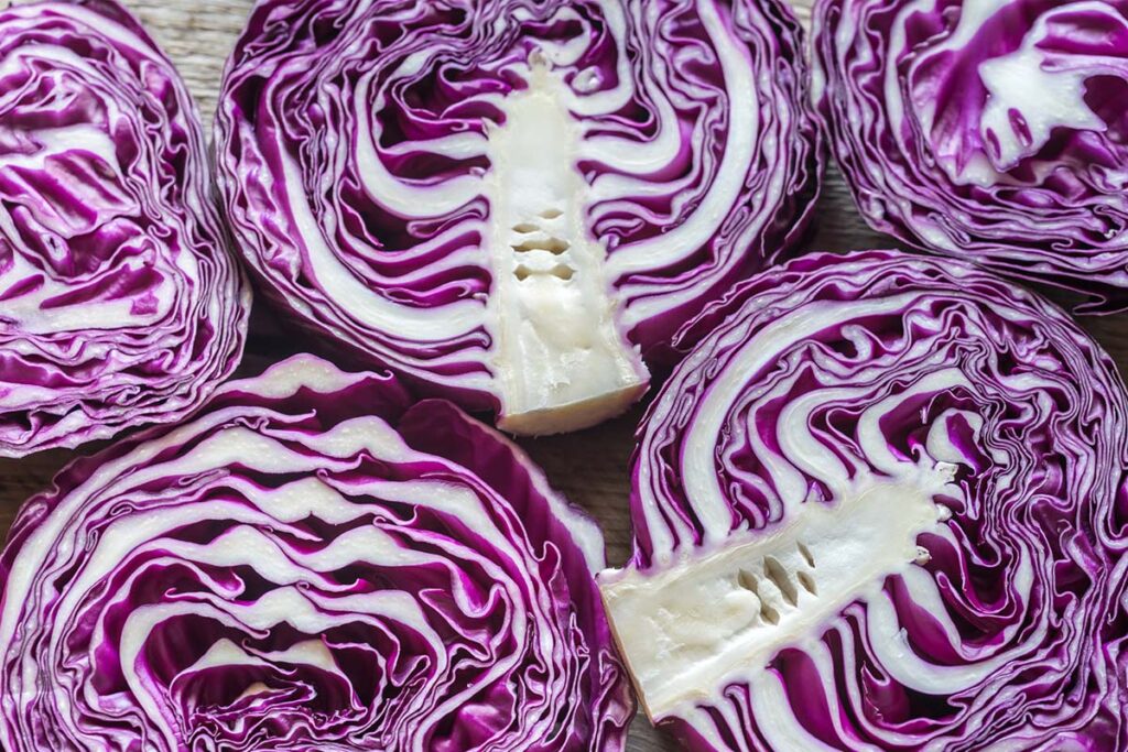 Although it's called red cabbage, this type of cabbage is a darker purple than red. In appearance, it looks like a green cabbage apart from the fact that it's purple.