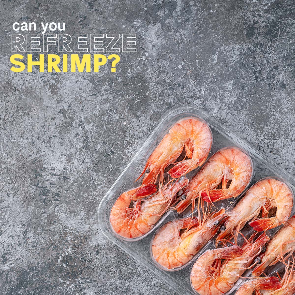 The safest way to thaw shrimp is in the fridge. It takes 12 to 24 hours to defrost shrimp in the refrigerator; hence, refreezing is safe without compromising taste or texture. 