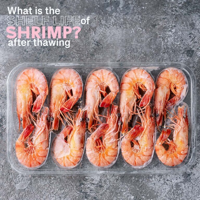 Can You Refreeze Shrimp that has been Previously Thawed? The Fork Bite