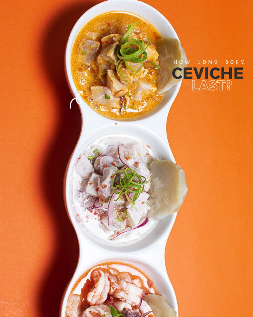 How Long Does Ceviche Last? Is it Safe to Eat? The Fork Bite