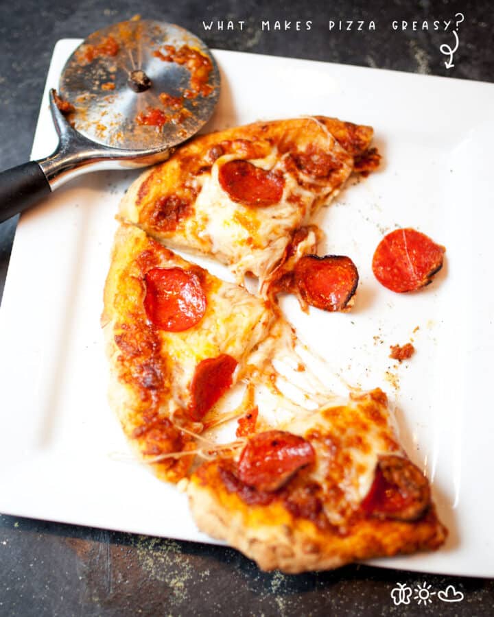 What Makes Pizza Greasy? Does Blotting Make a Difference? The Fork Bite