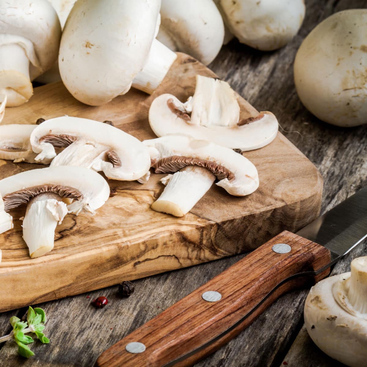 When storing mushrooms, you can keep them in a cool, dark place. Paper bags or a Tupperware container with holes punched in the lid for ventilation is the best.