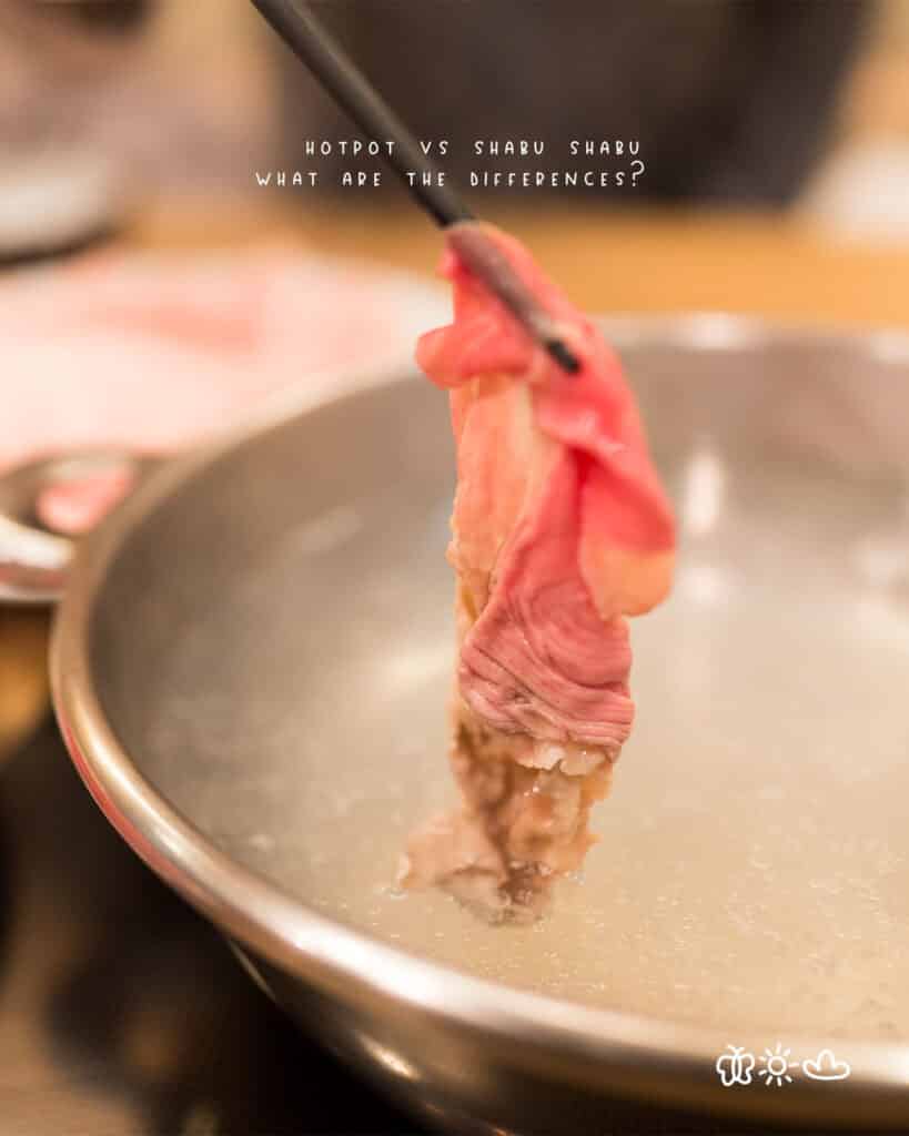 Hot Pot vs Shabu Shabu What are the Differences? The Fork Bite