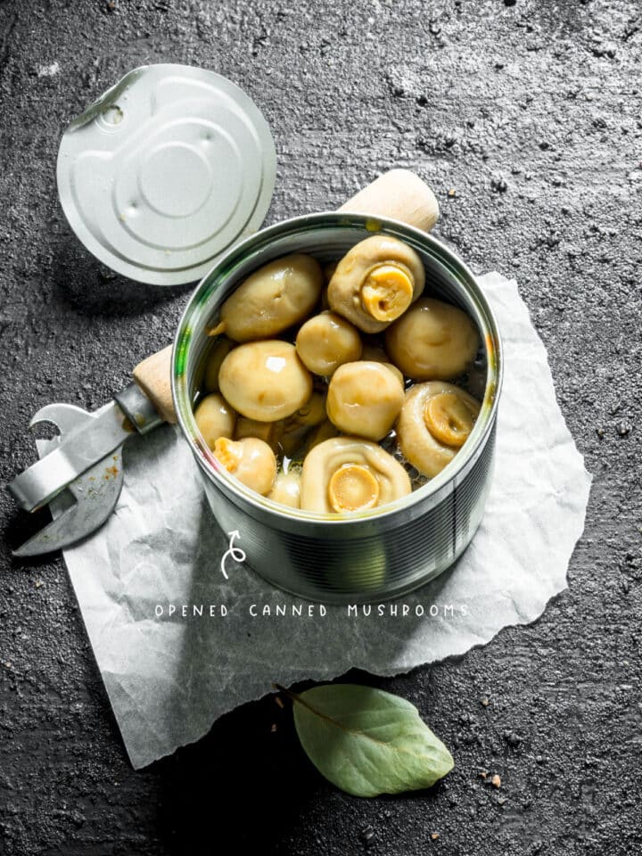 Can You Freeze Canned Mushrooms? The Fork Bite