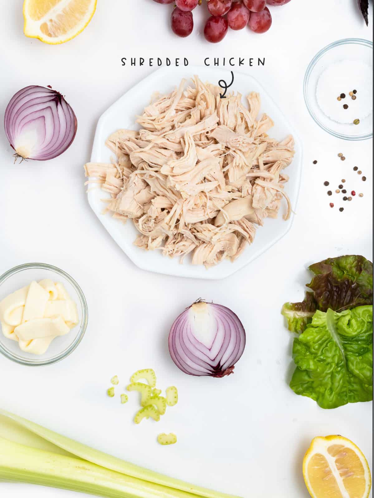 Can You Shred Chicken in a Blender? Doing it the Right Way The Fork Bite