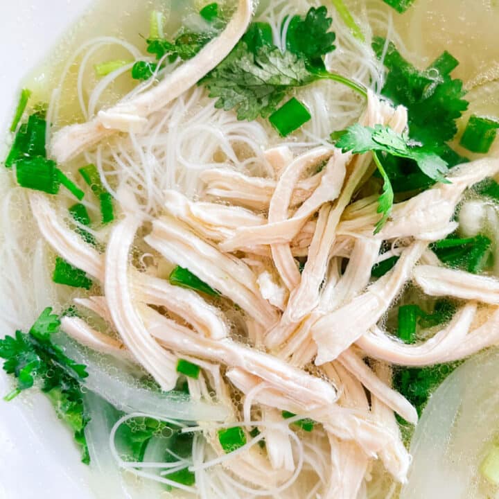 Can You Shred Chicken in a Blender? Doing it the Right Way The Fork Bite