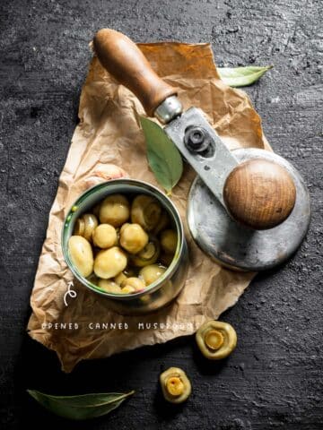 Can You Freeze Canned Mushrooms? - The Fork Bite