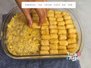 Arrange the tater tots on top of the mixture in a single layer. The number of tater tots you use is up to you