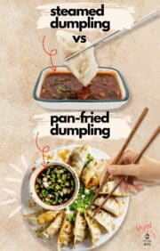 Steamed vs Fried Dumplings - The Fork Bite