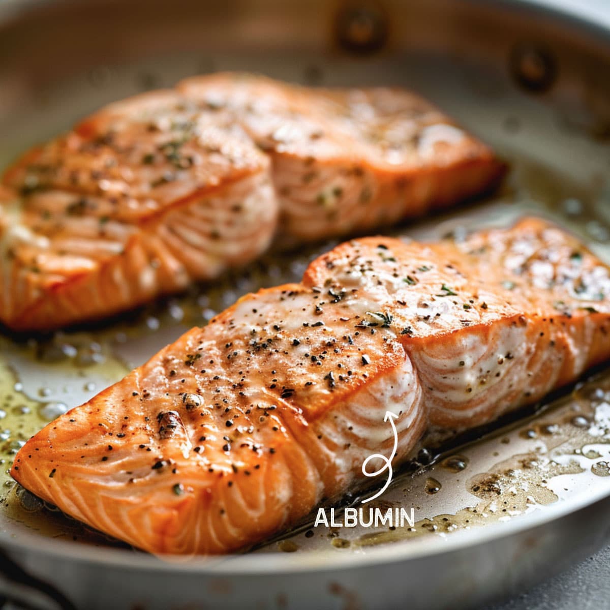 Close-up of smoked salmon with white albumin buildup