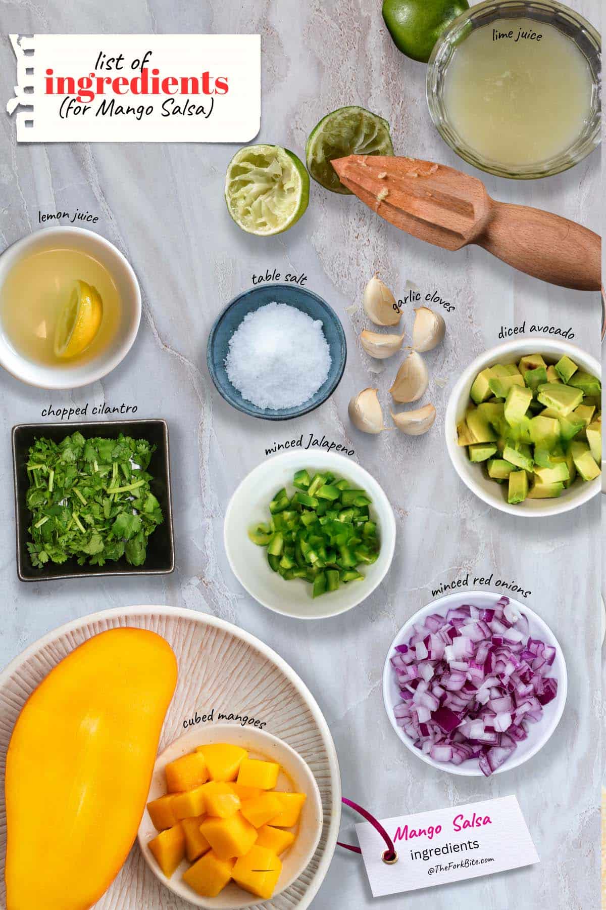 Diced mango, avocado, red onion, and cilantro ready to be mixed into a fresh salsa.