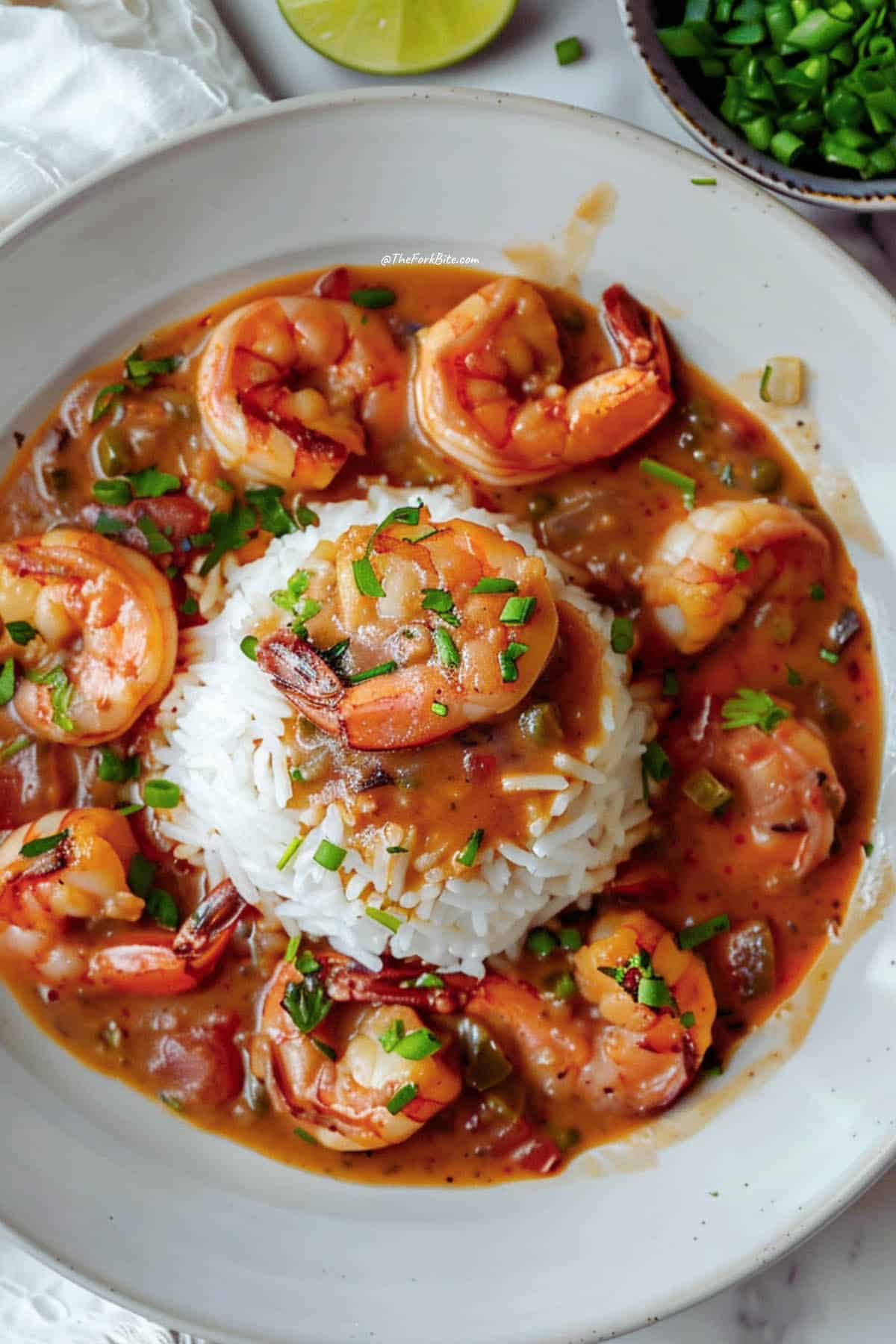 A plate of Shrimp Étouffée served over rice, garnished with green onions and a sprinkle of cayenne pepper.