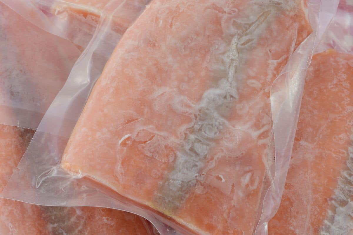Frozen vacuum-sealed salmon fillets with visible frost